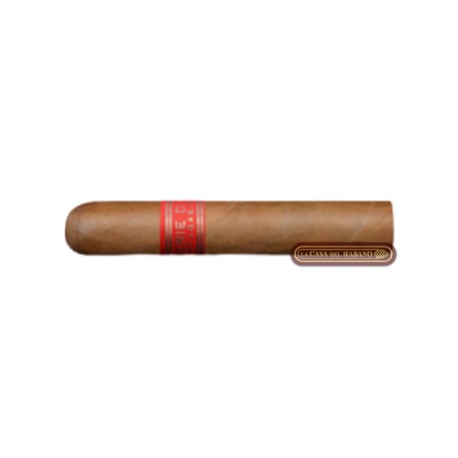SERIE D No. 5