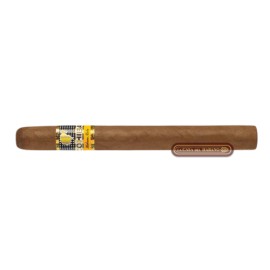 SIGLO V